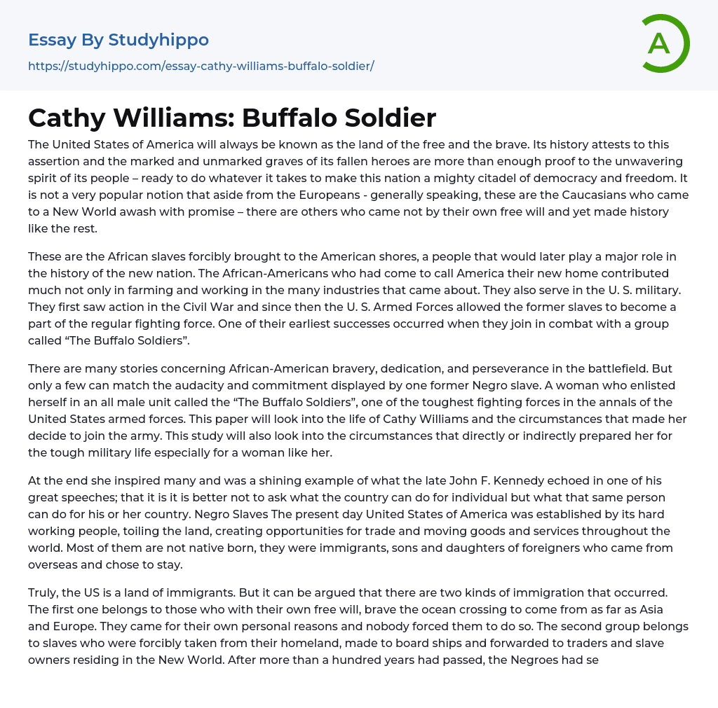 Cathy Williams: Buffalo Soldier Essay Example
