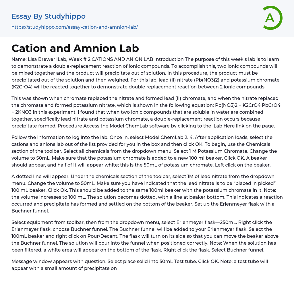 Cation and Amnion Lab Essay Example