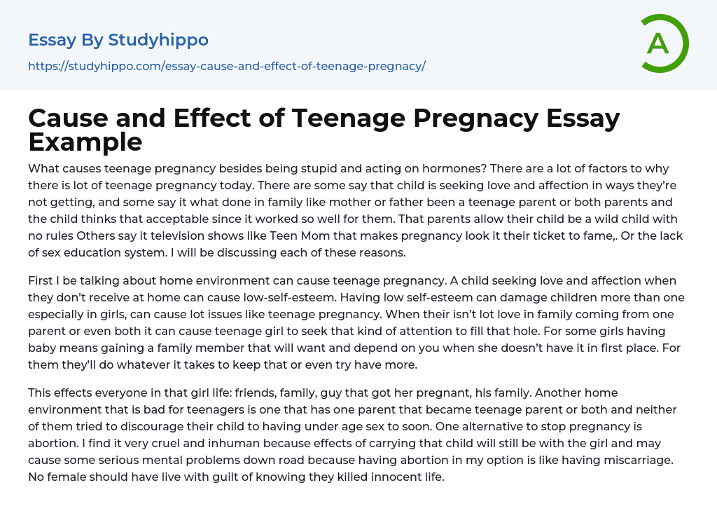 Cause and Effect of Teenage Pregnacy Essay Example