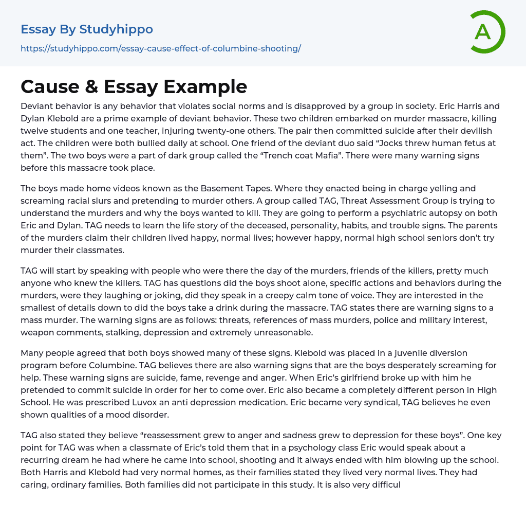 Cause &amp Essay Example