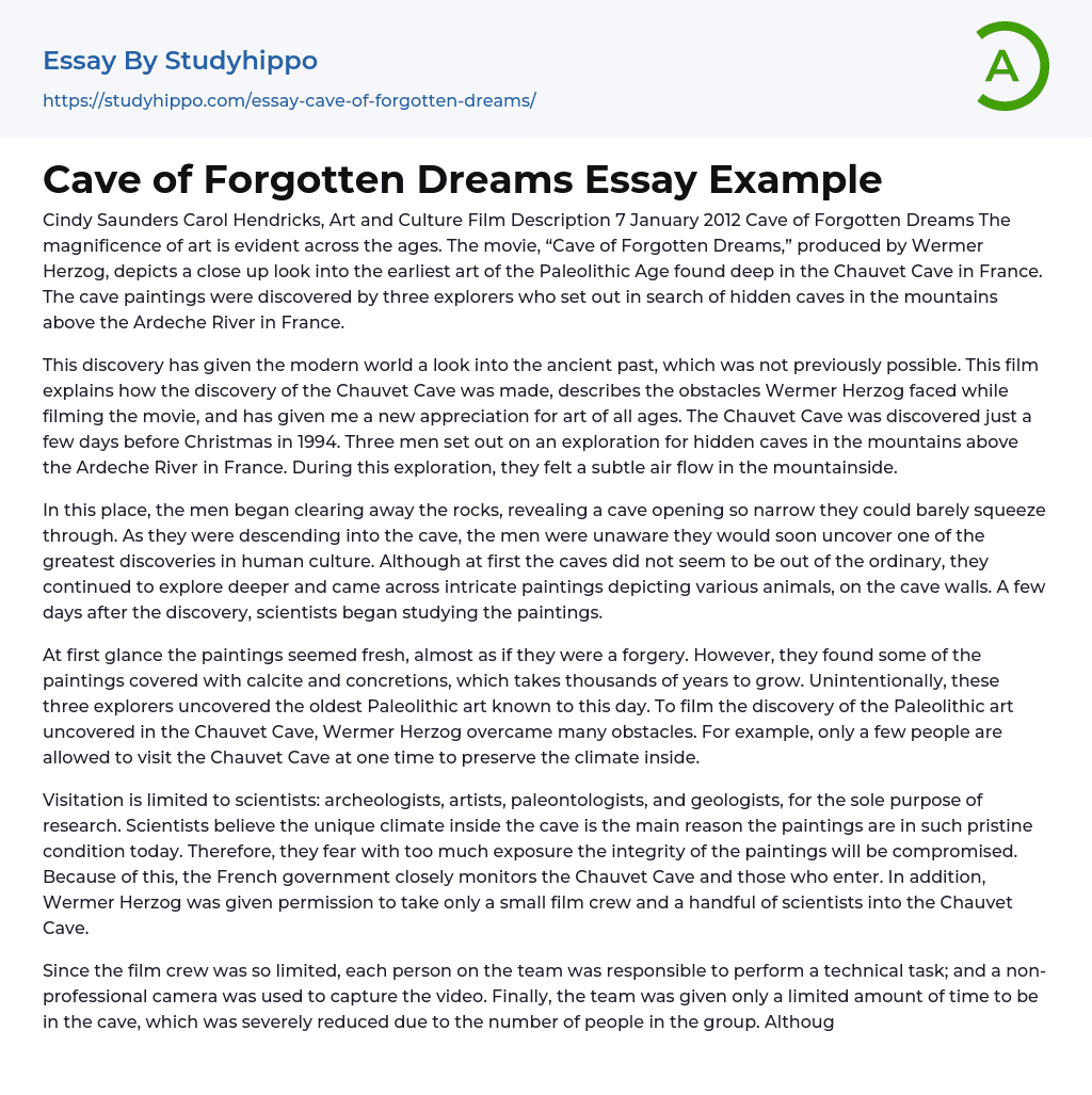 Cave of Forgotten Dreams Essay Example
