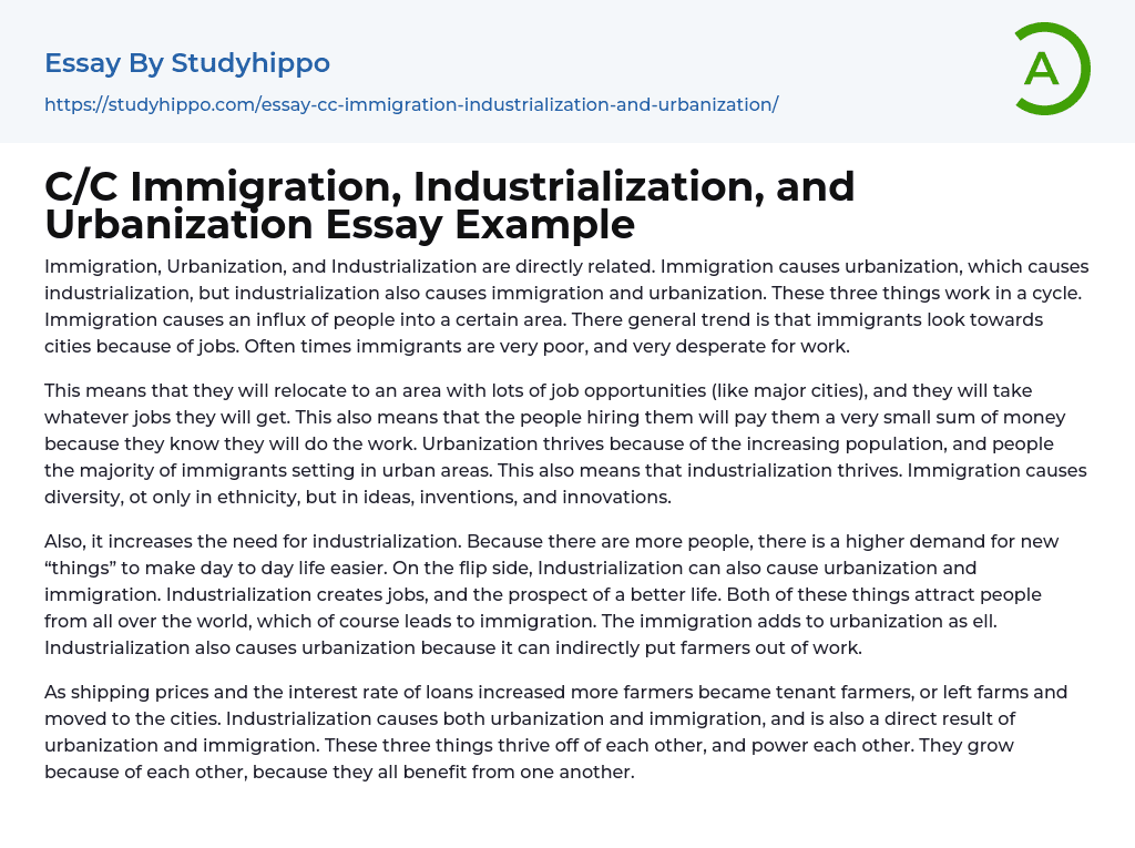 C/C Immigration, Industrialization, and Urbanization Essay Example