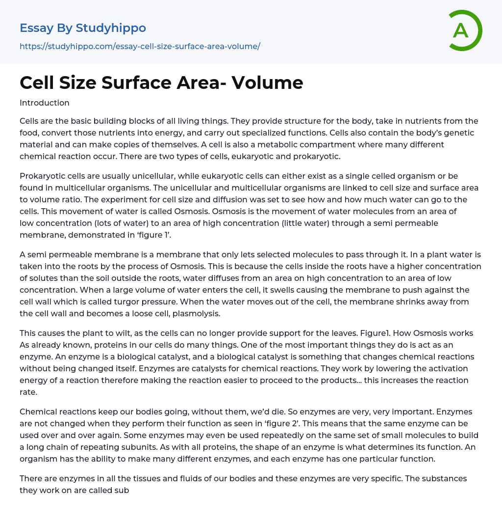 Cell Size Surface Area- Volume Essay Example