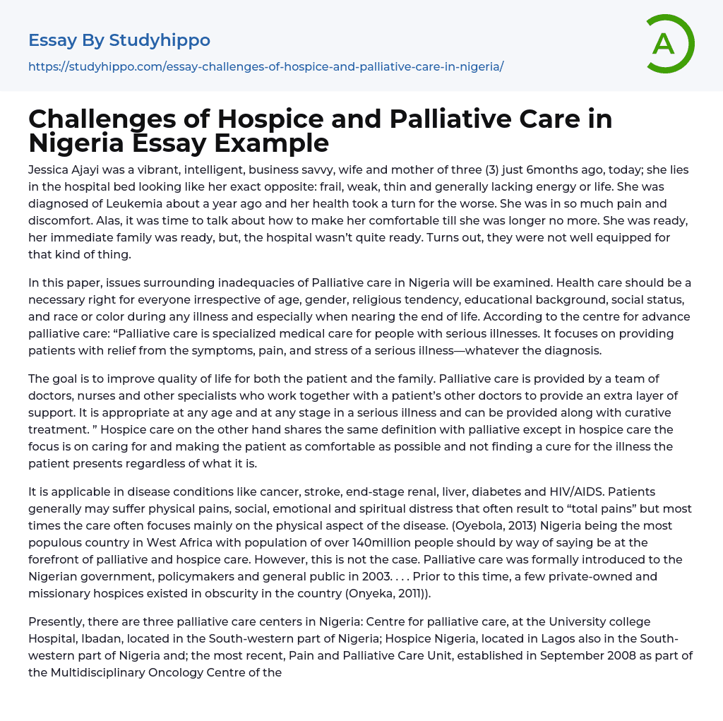 Challenges of Hospice and Palliative Care in Nigeria Essay Example