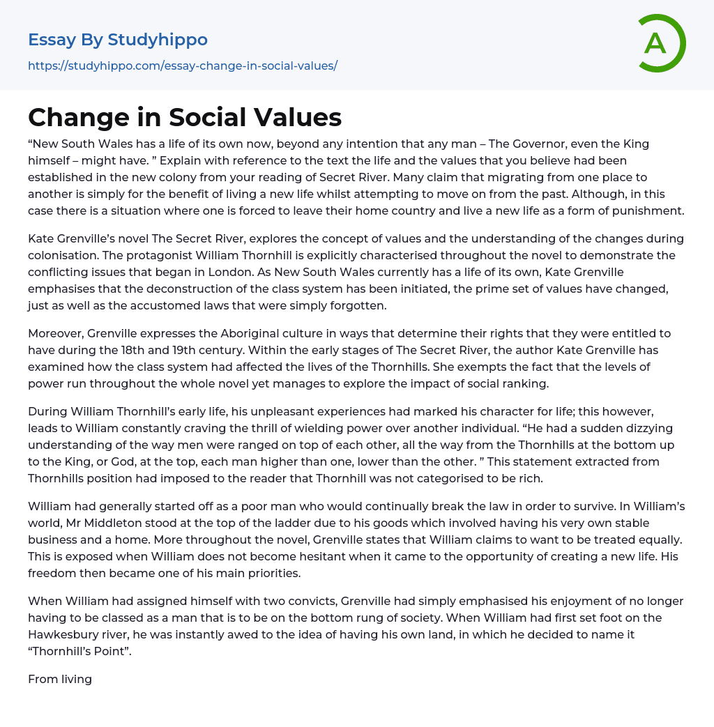Change in Social Values Essay Example