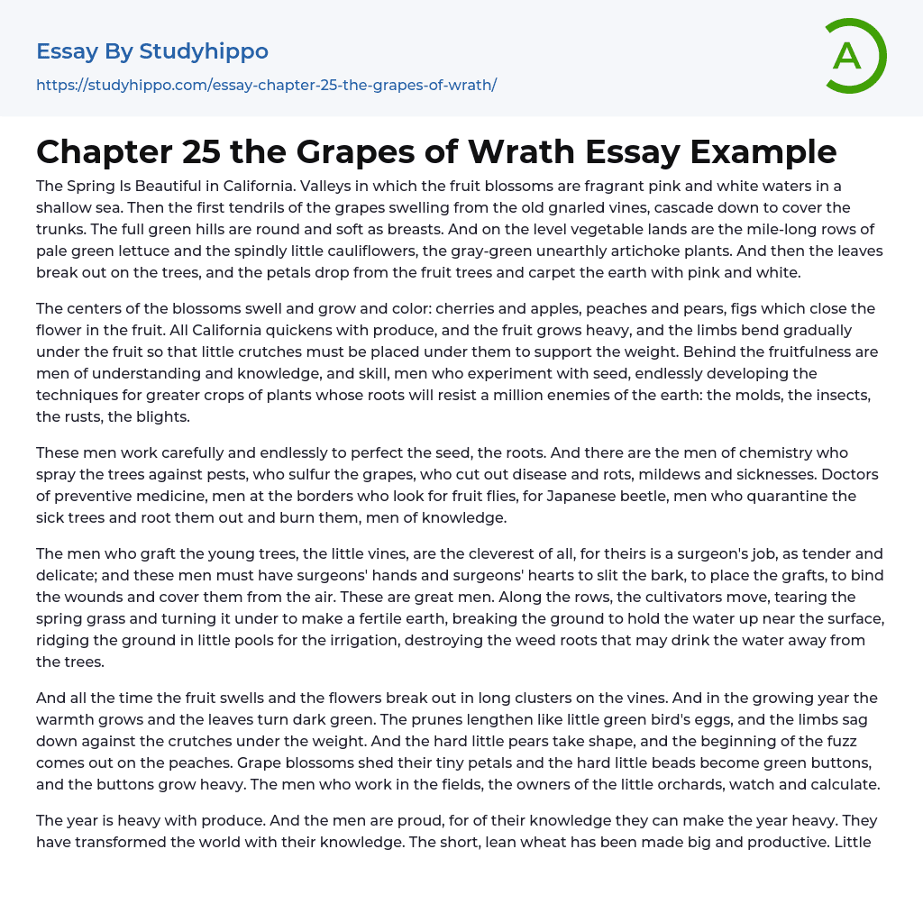 Chapter 25 the Grapes of Wrath Essay Example