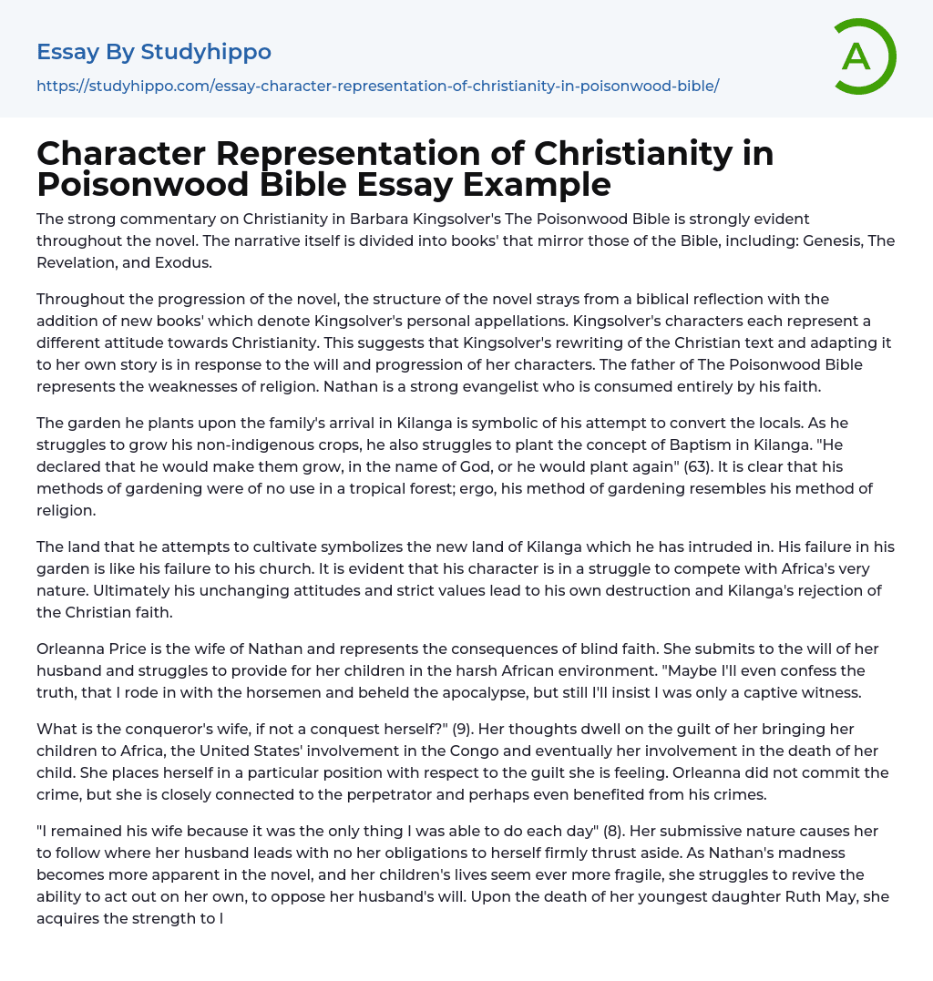 Character Representation of Christianity in Poisonwood Bible Essay Example