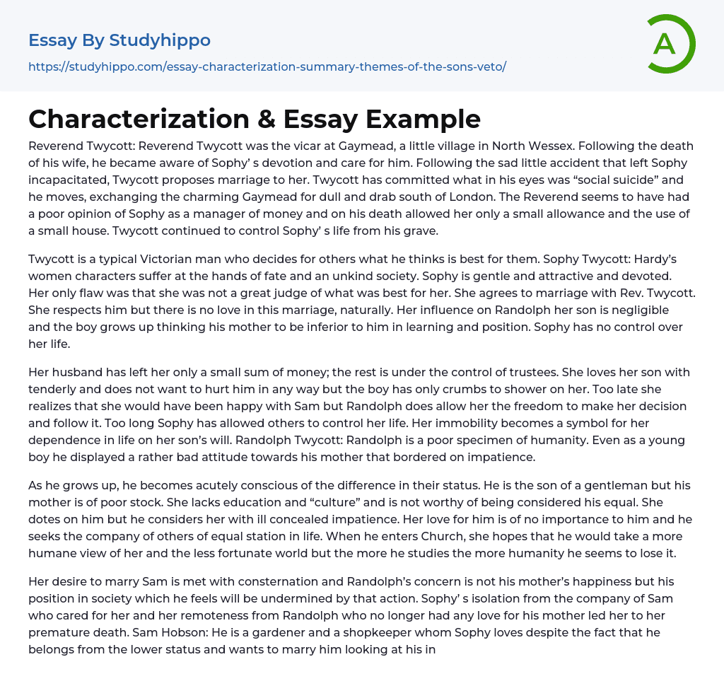 Characterization &amp Essay Example
