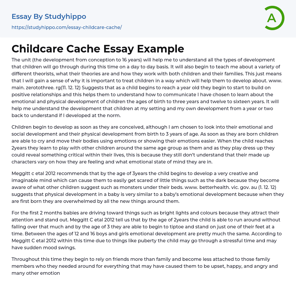 Childcare Cache Essay Example