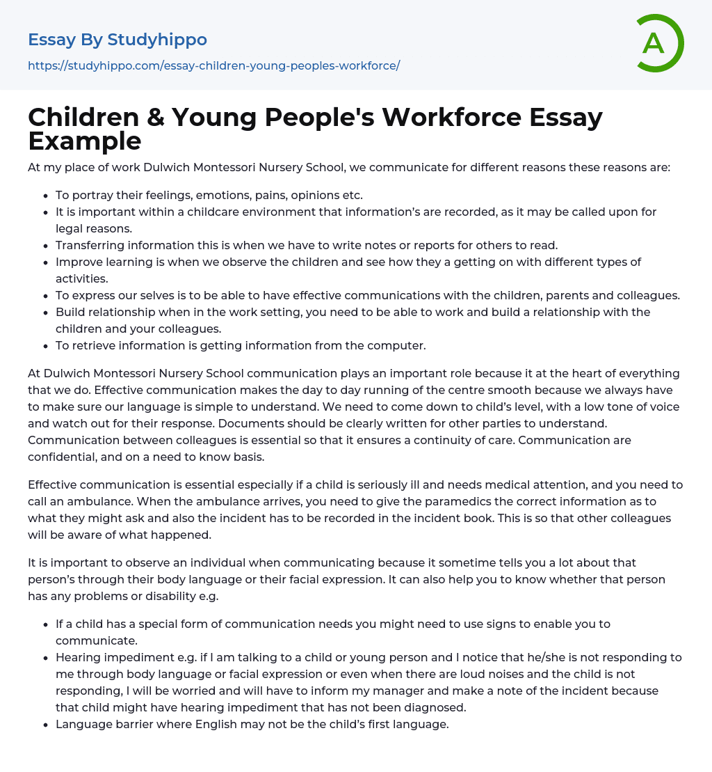 Children & Young People’s Workforce Essay Example