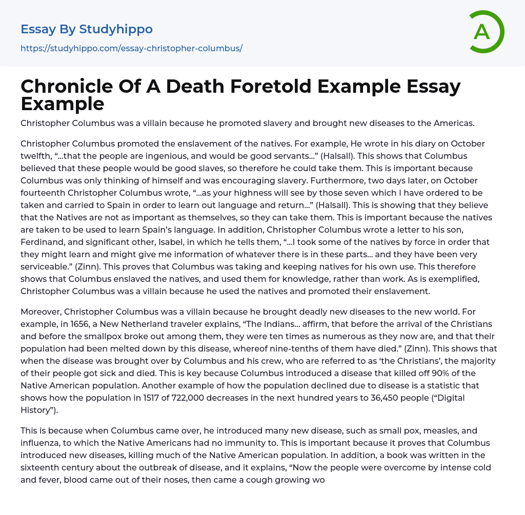 Chronicle Of A Death Foretold Example Essay Example