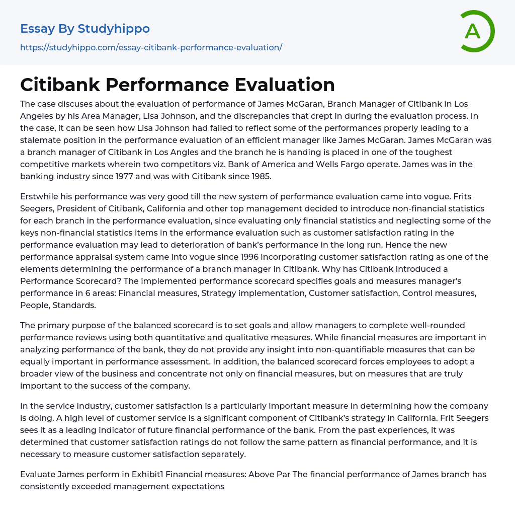 Citibank Performance Evaluation Essay Example