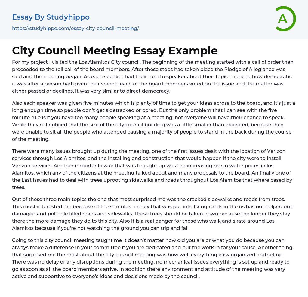 City Council Meeting Essay Example