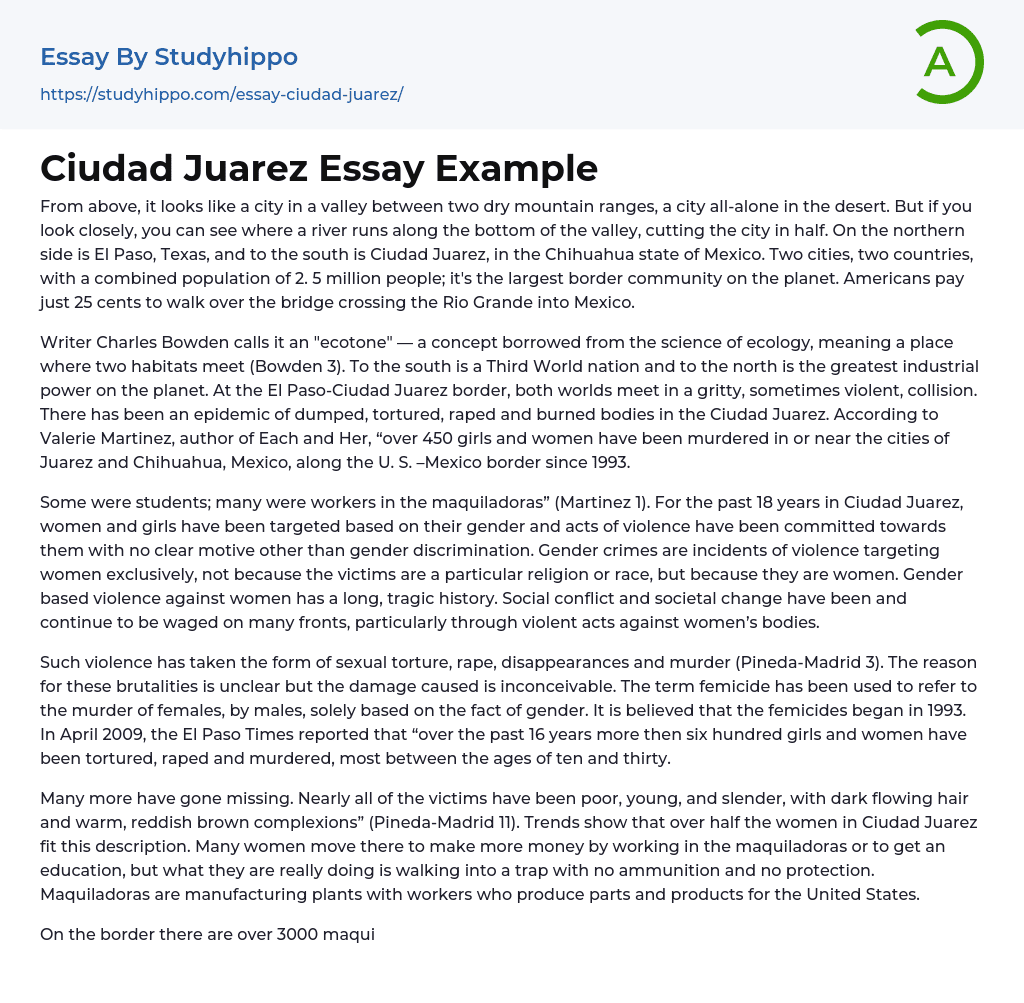 Ciudad Juarez Essay Example