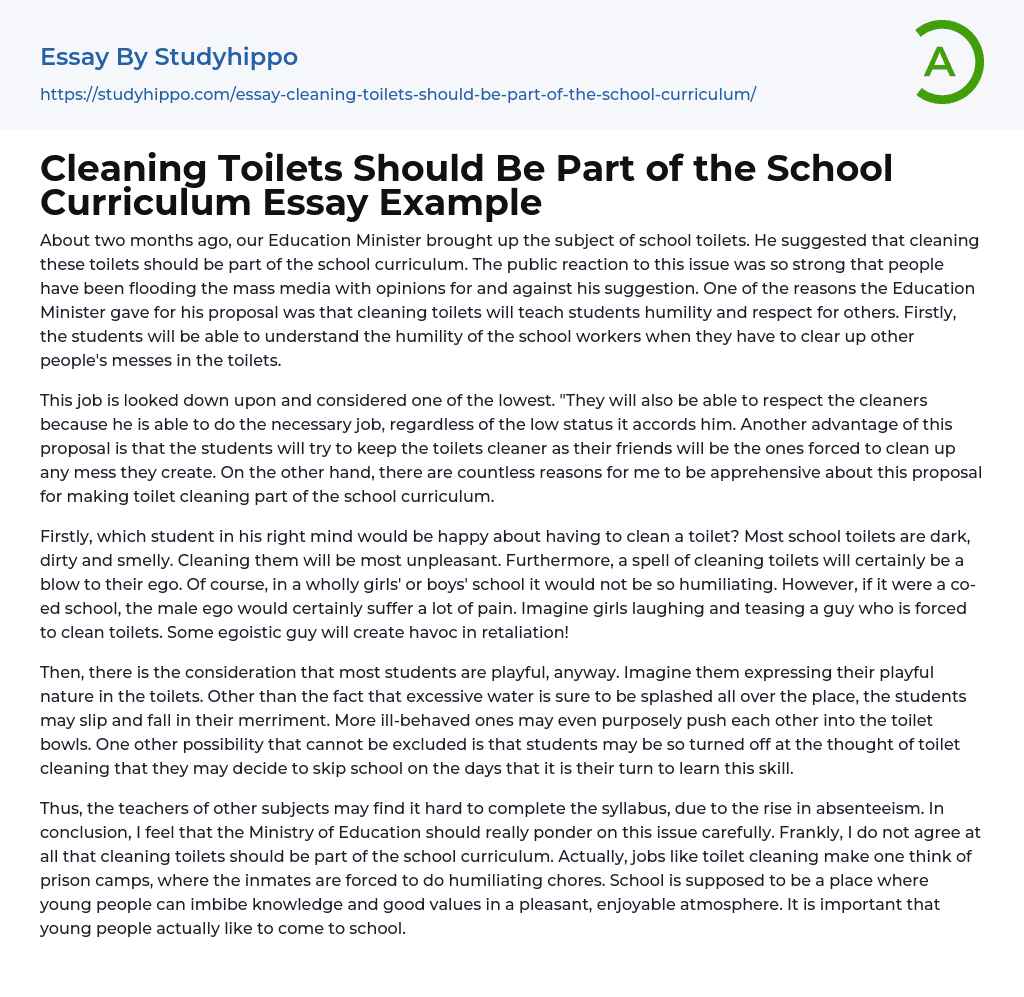 Cleaning Toilets Should Be Part of the School Curriculum Essay Example