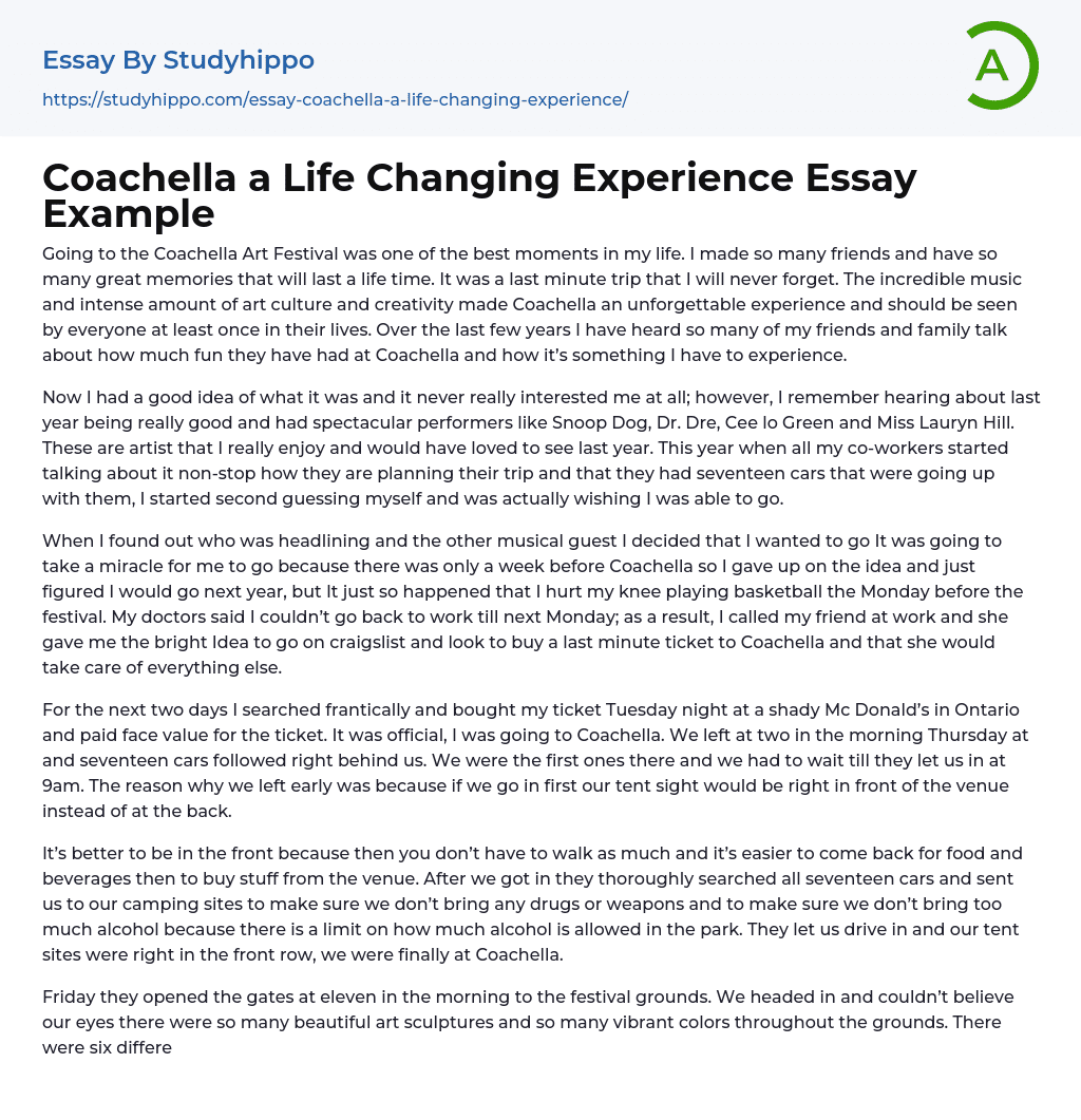 Coachella a Life Changing Experience Essay Example
