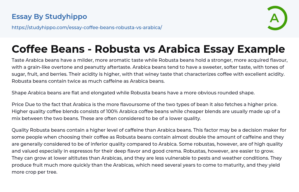 Coffee Beans – Robusta vs Arabica Essay Example