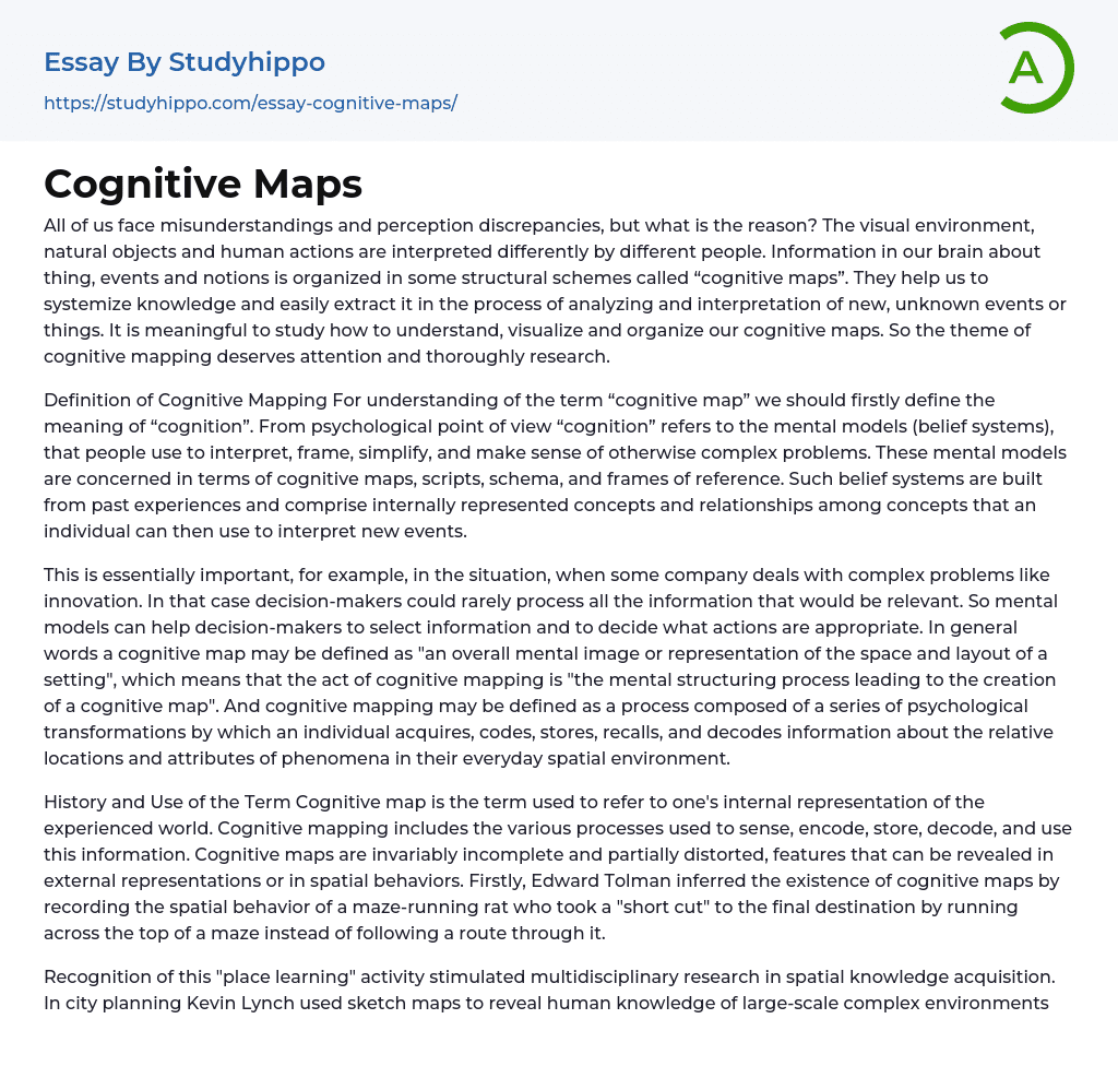 Cognitive Maps Essay Example