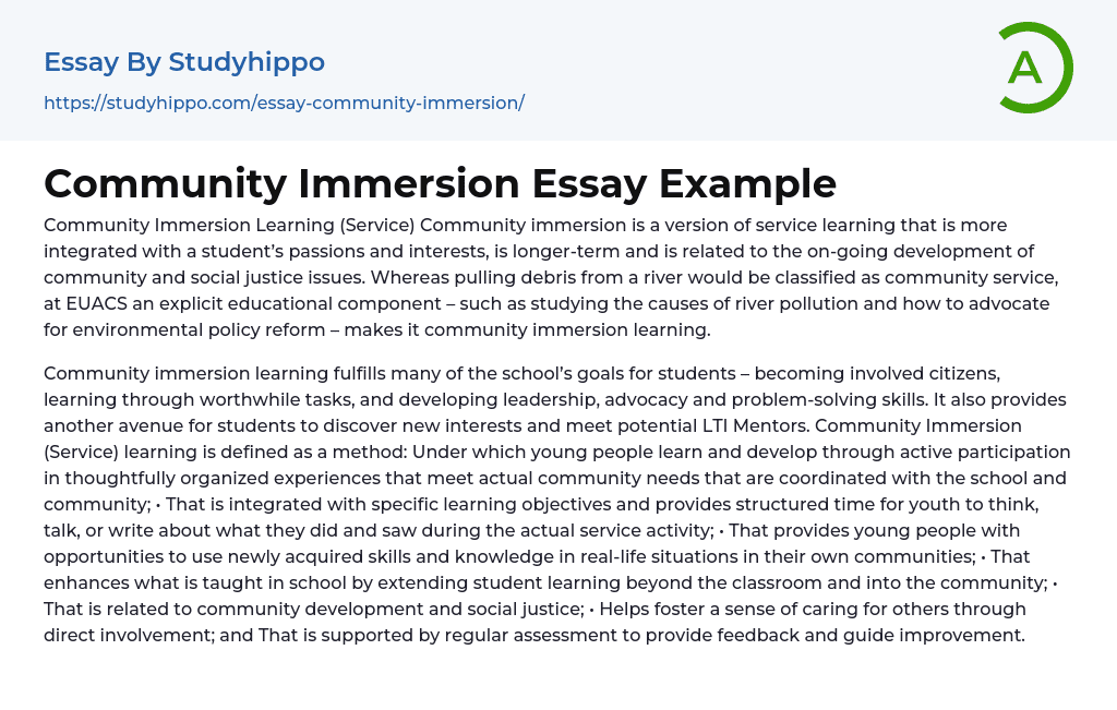 Community Immersion Essay Example