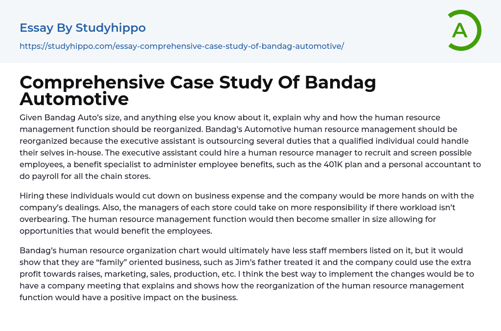 Comprehensive Case Study Of Bandag Automotive Essay Example