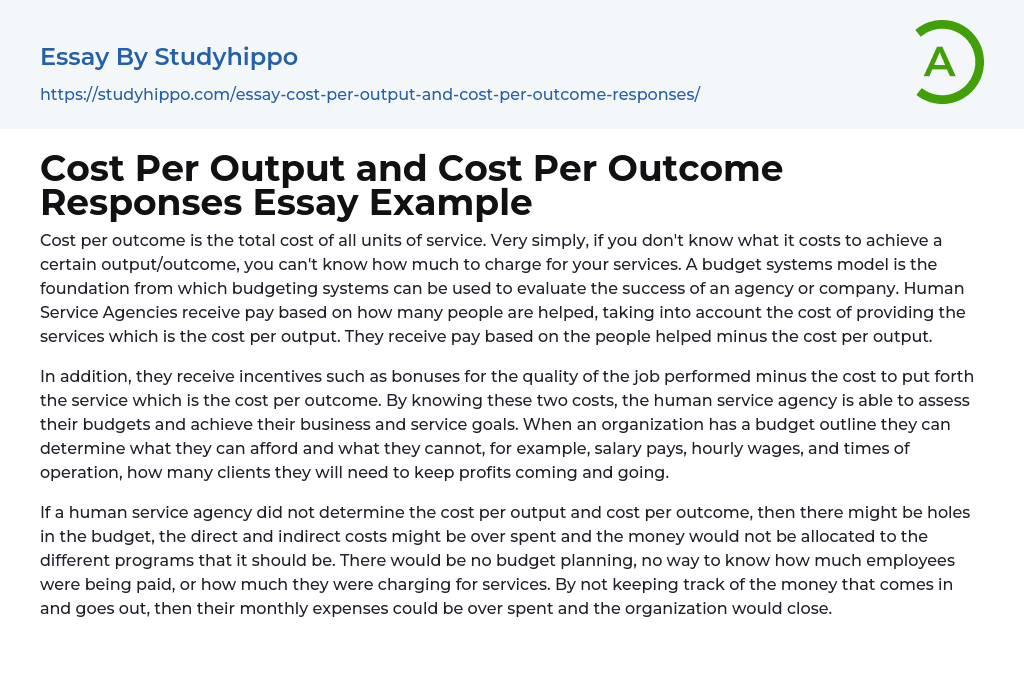 Cost Per Output and Cost Per Outcome Responses Essay Example