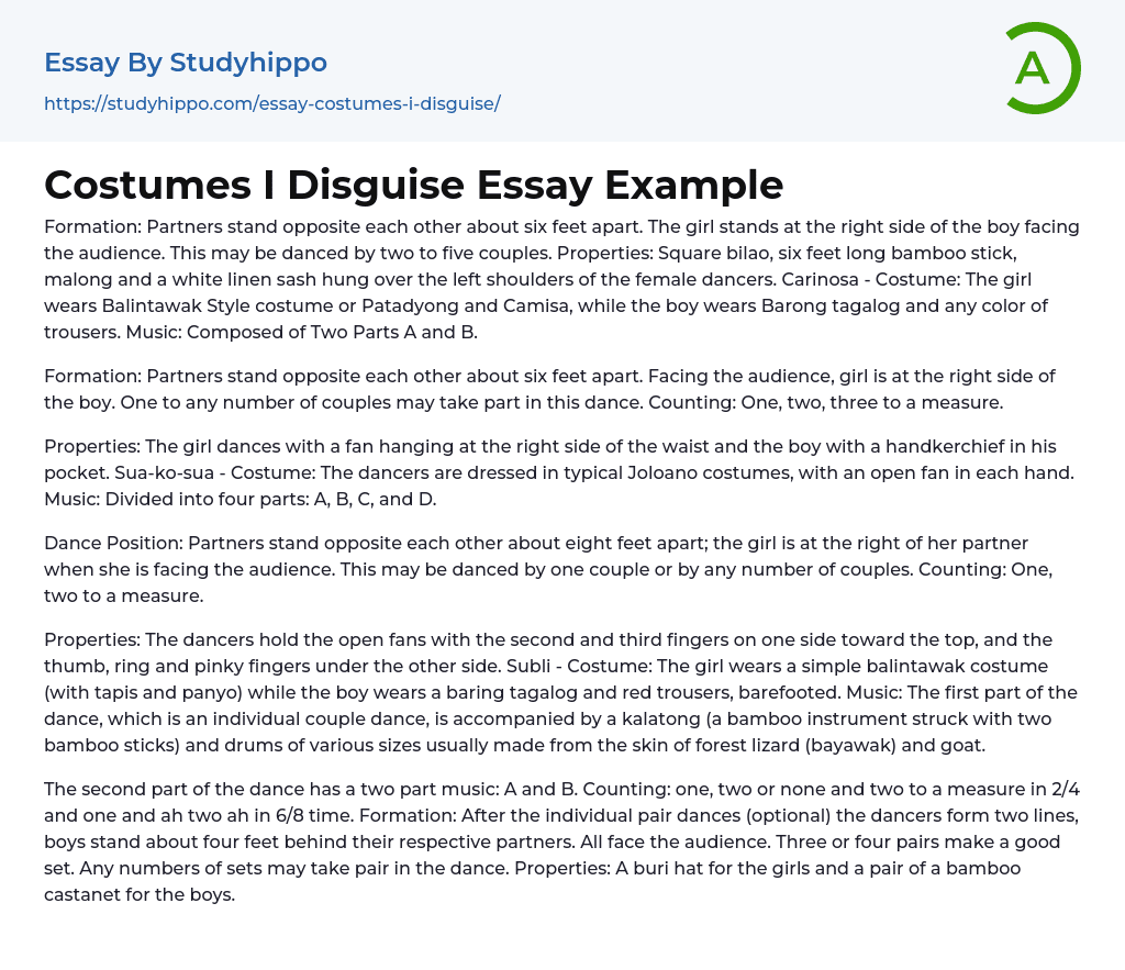 Costumes I Disguise Essay Example
