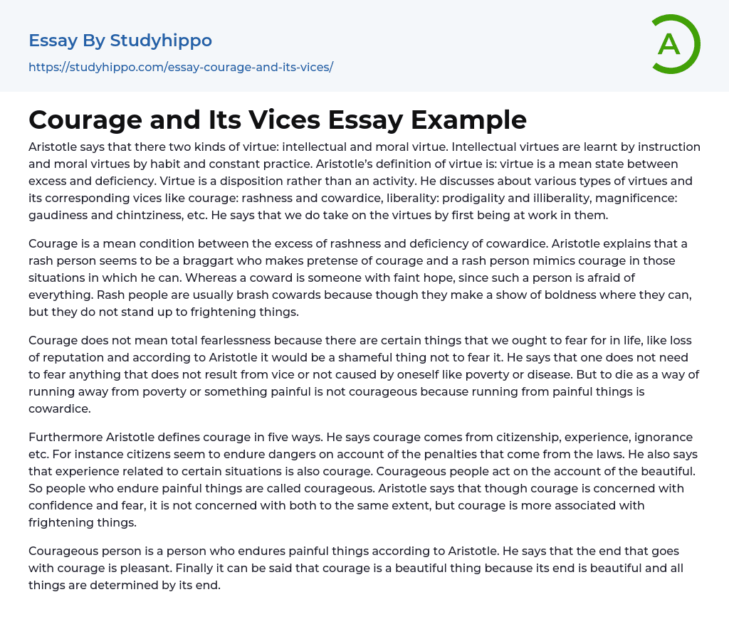 Courage and Its Vices Essay Example