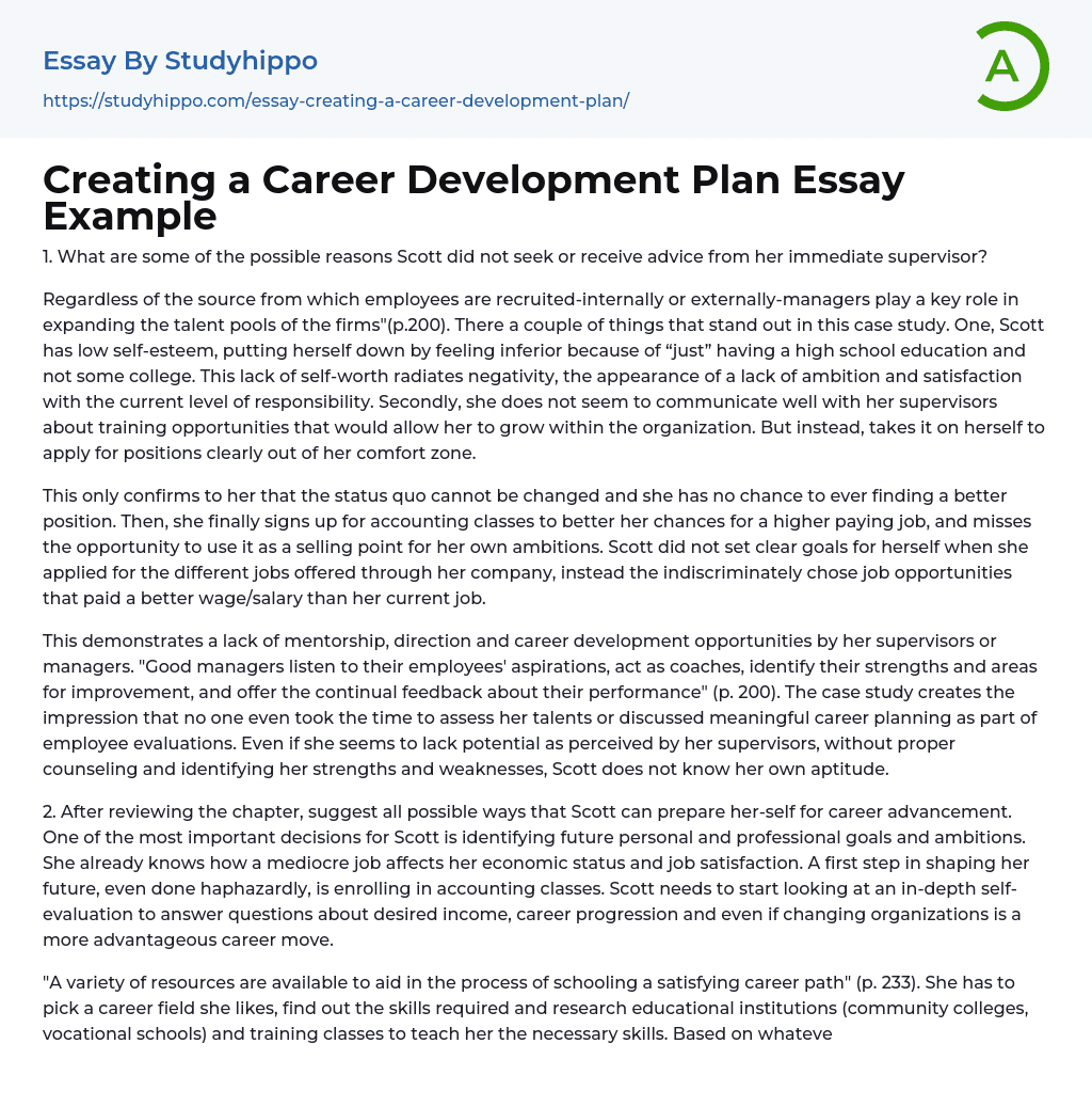 career plan essay example