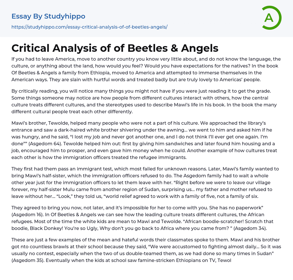 Critical Analysis of of Beetles & Angels Essay Example