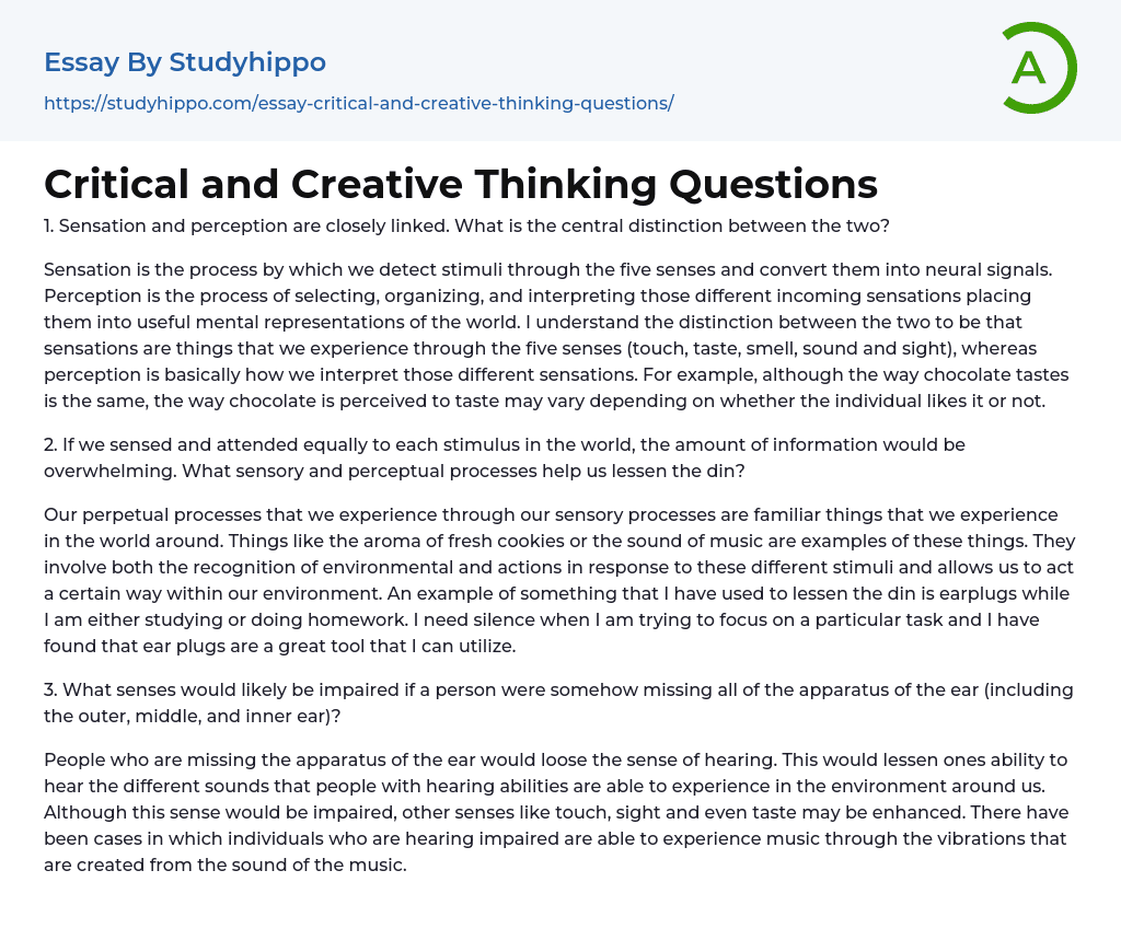 Critical and Creative Thinking Questions Essay Example