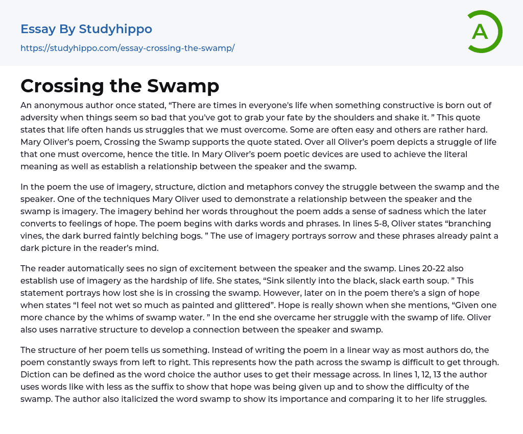 Crossing the Swamp Essay Example