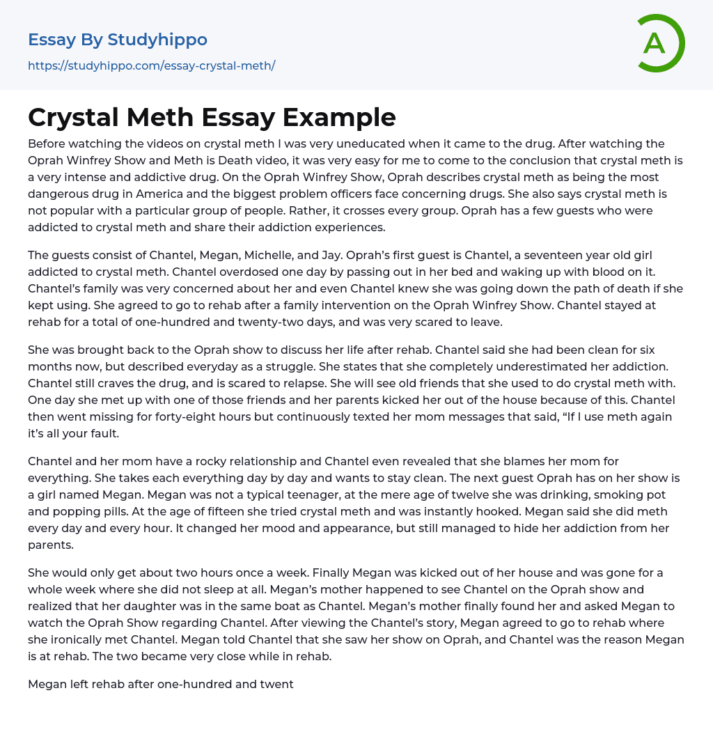 Crystal Meth Essay Example