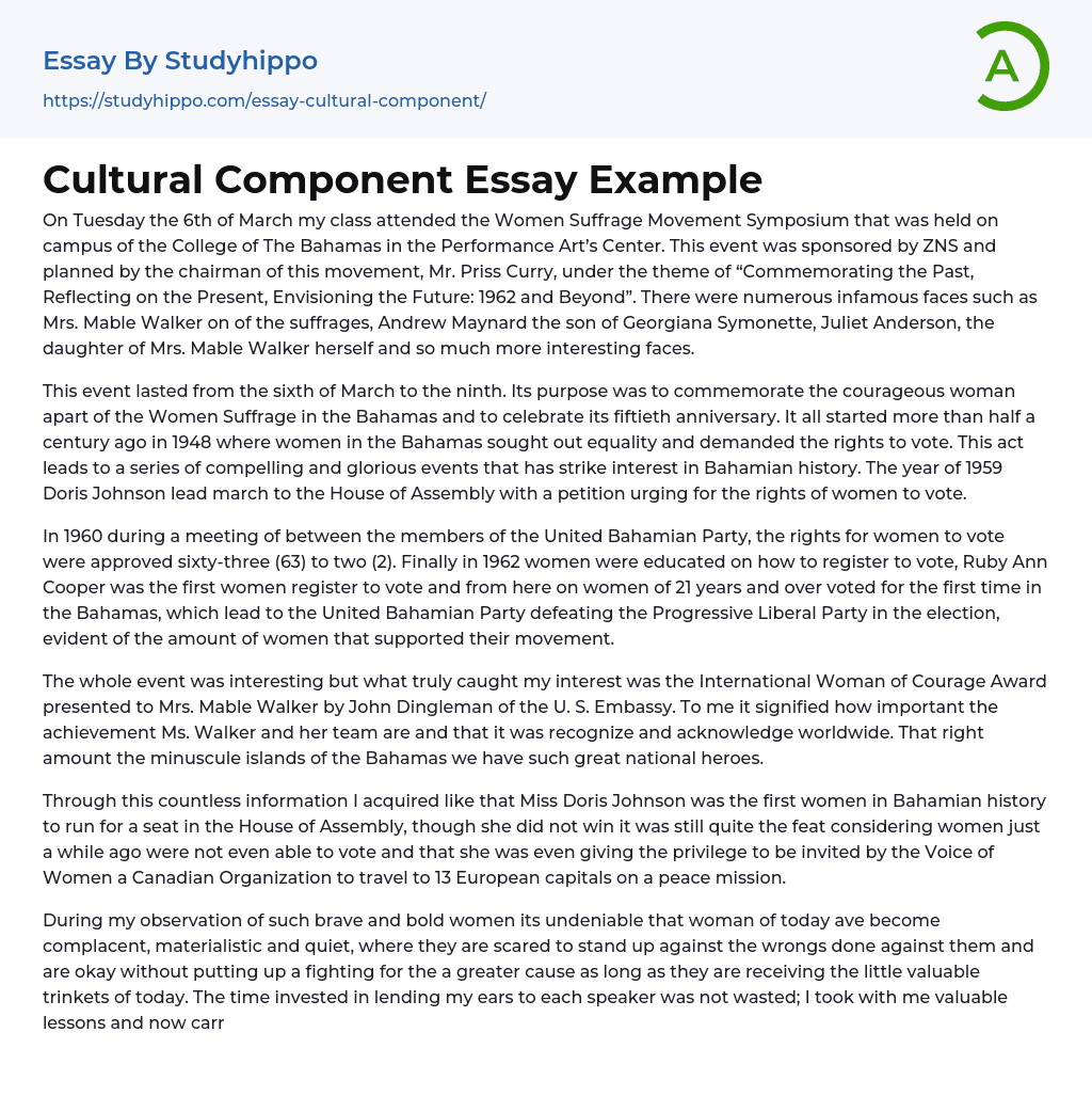 Cultural Component Essay Example