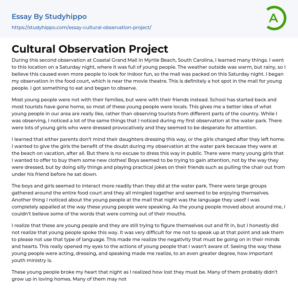 Cultural Observation Project Essay Example