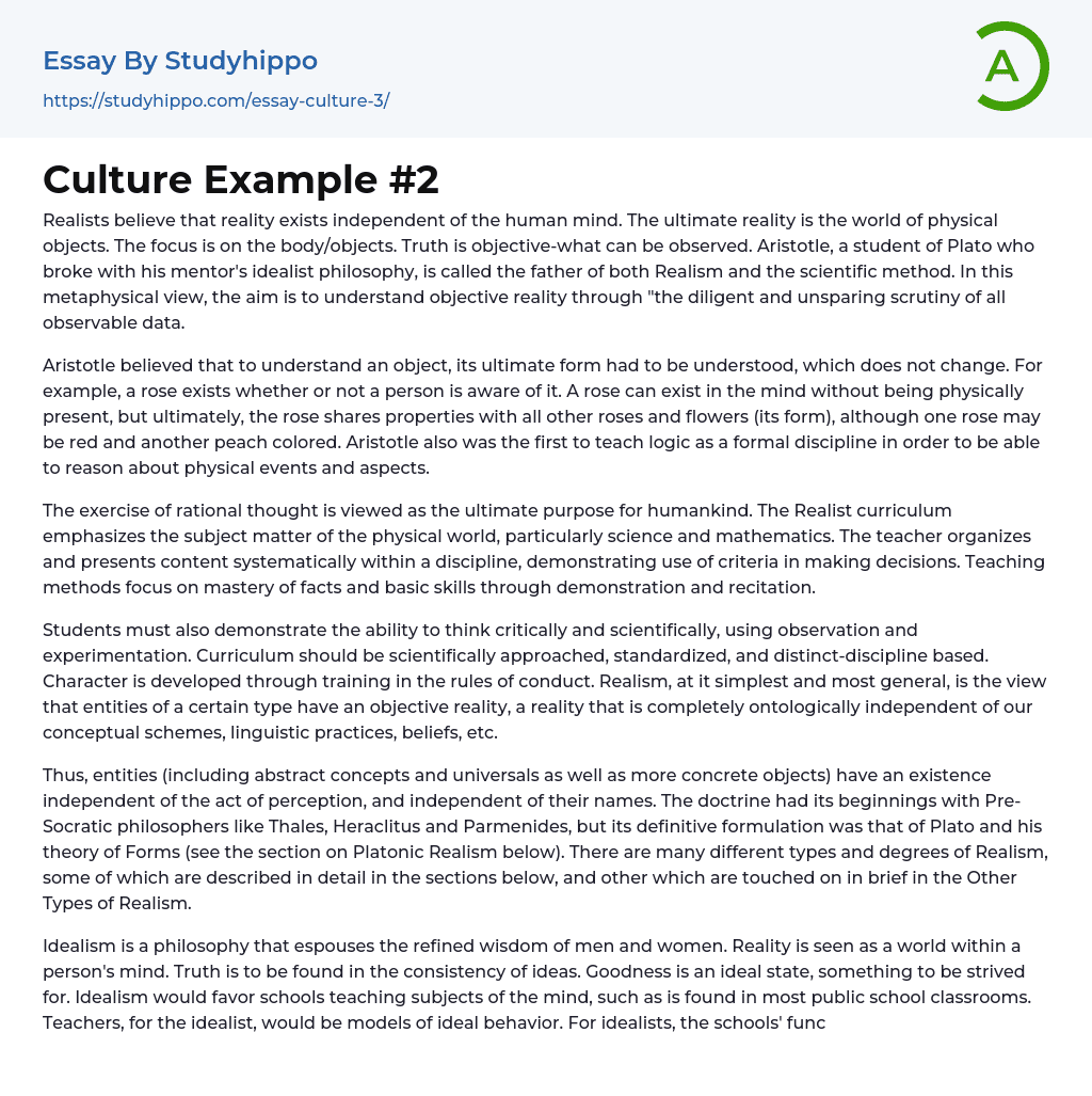 Culture Example #2 Essay Example
