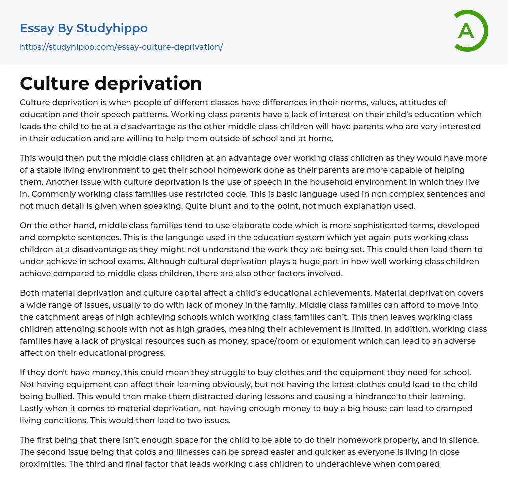 Culture deprivation Essay Example