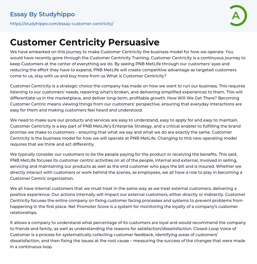 Customer Centricity Persuasive Essay Example