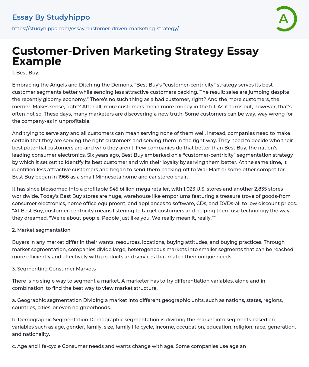 Customer-Driven Marketing Strategy Essay Example