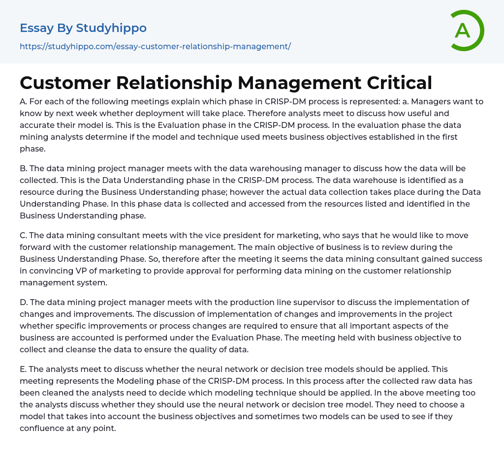 Customer Relationship Management Critical Essay Example