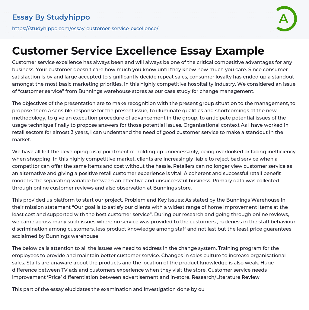 Customer Service Excellence Essay Example