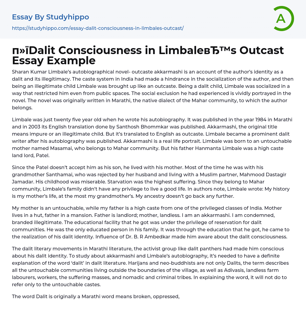 Dalit Consciousness in Limbale’s Outcast Essay Example
