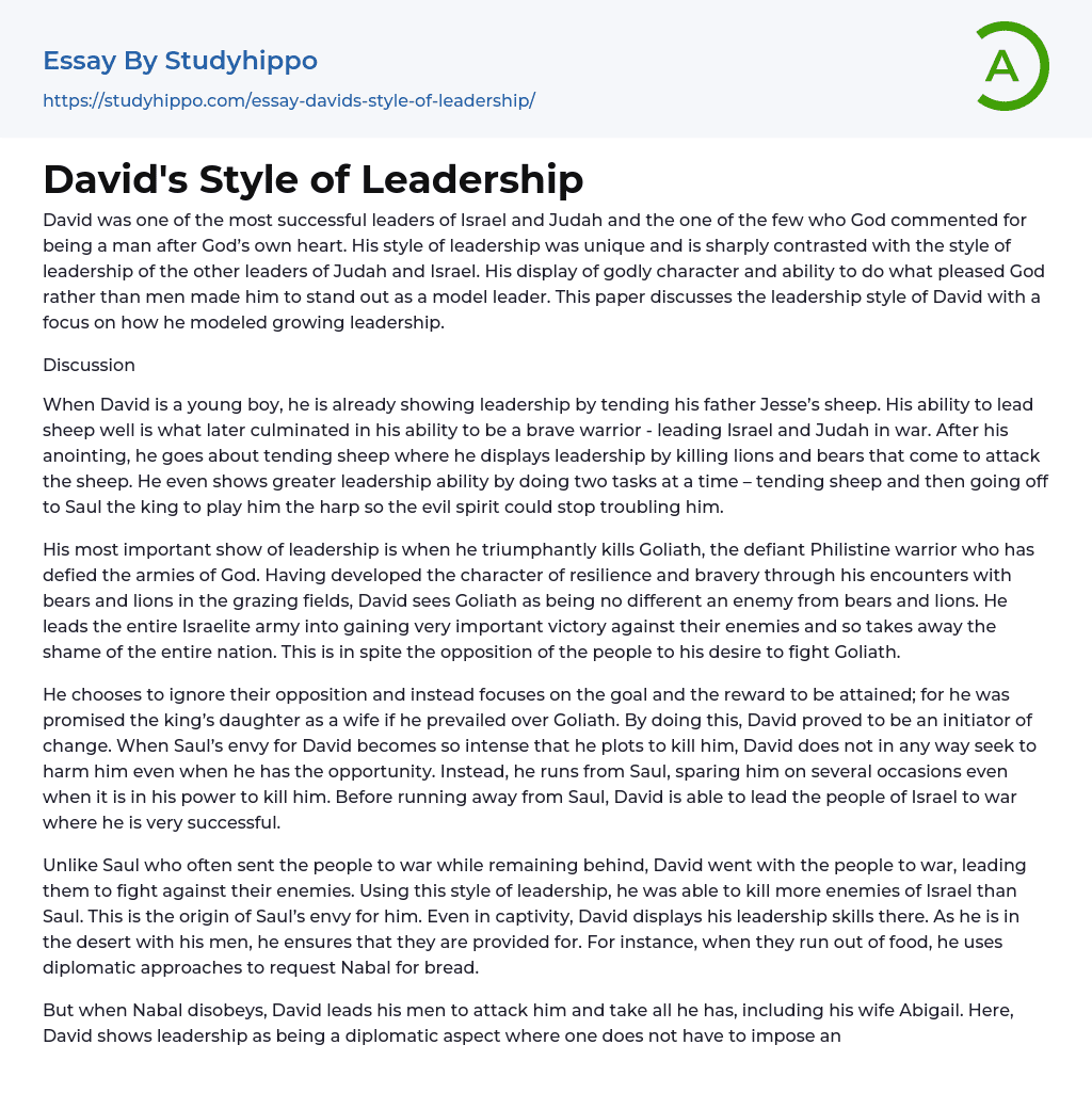 David’s Style of Leadership Essay Example