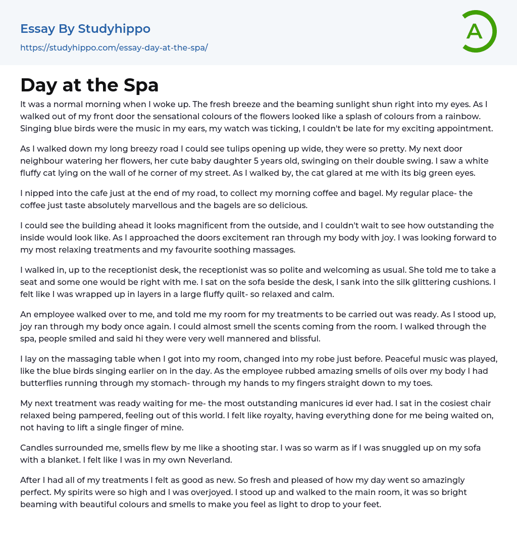 Day at the Spa Essay Example