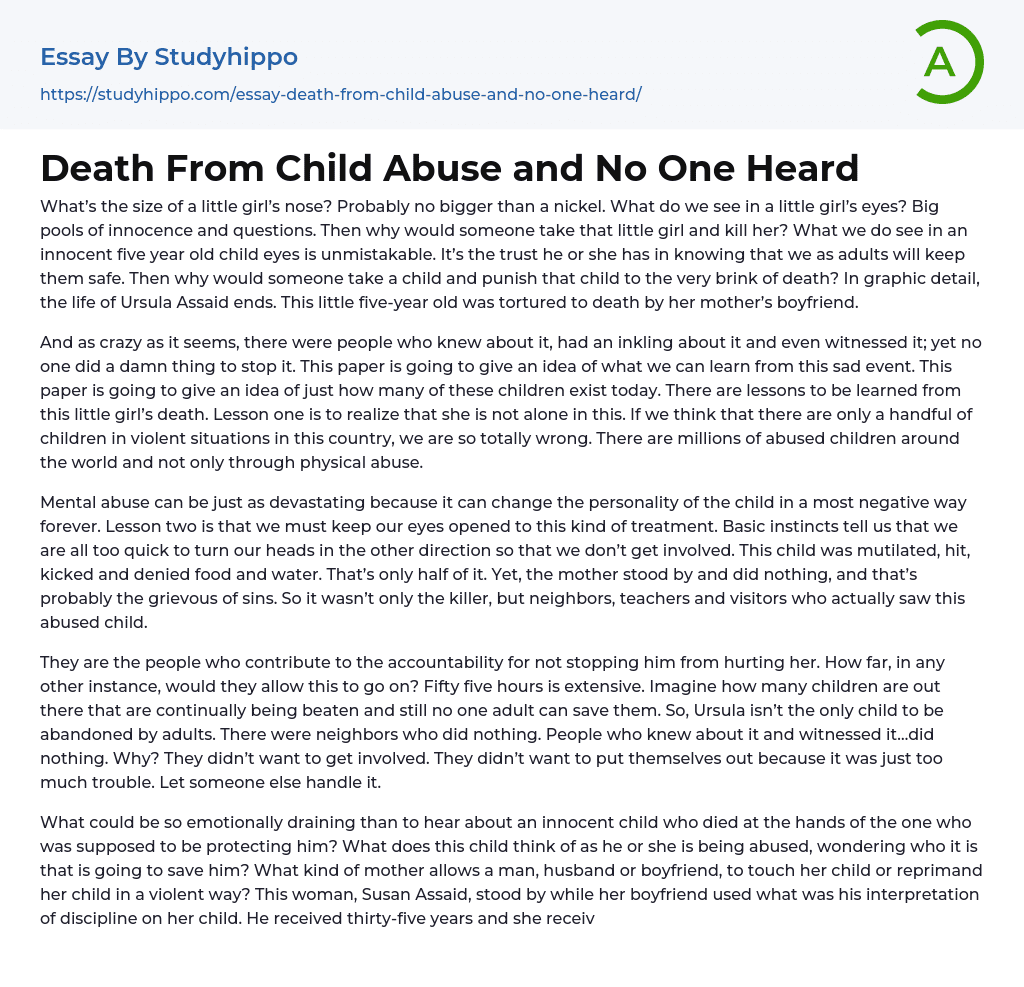 Death From Child Abuse and No One Heard Essay Example