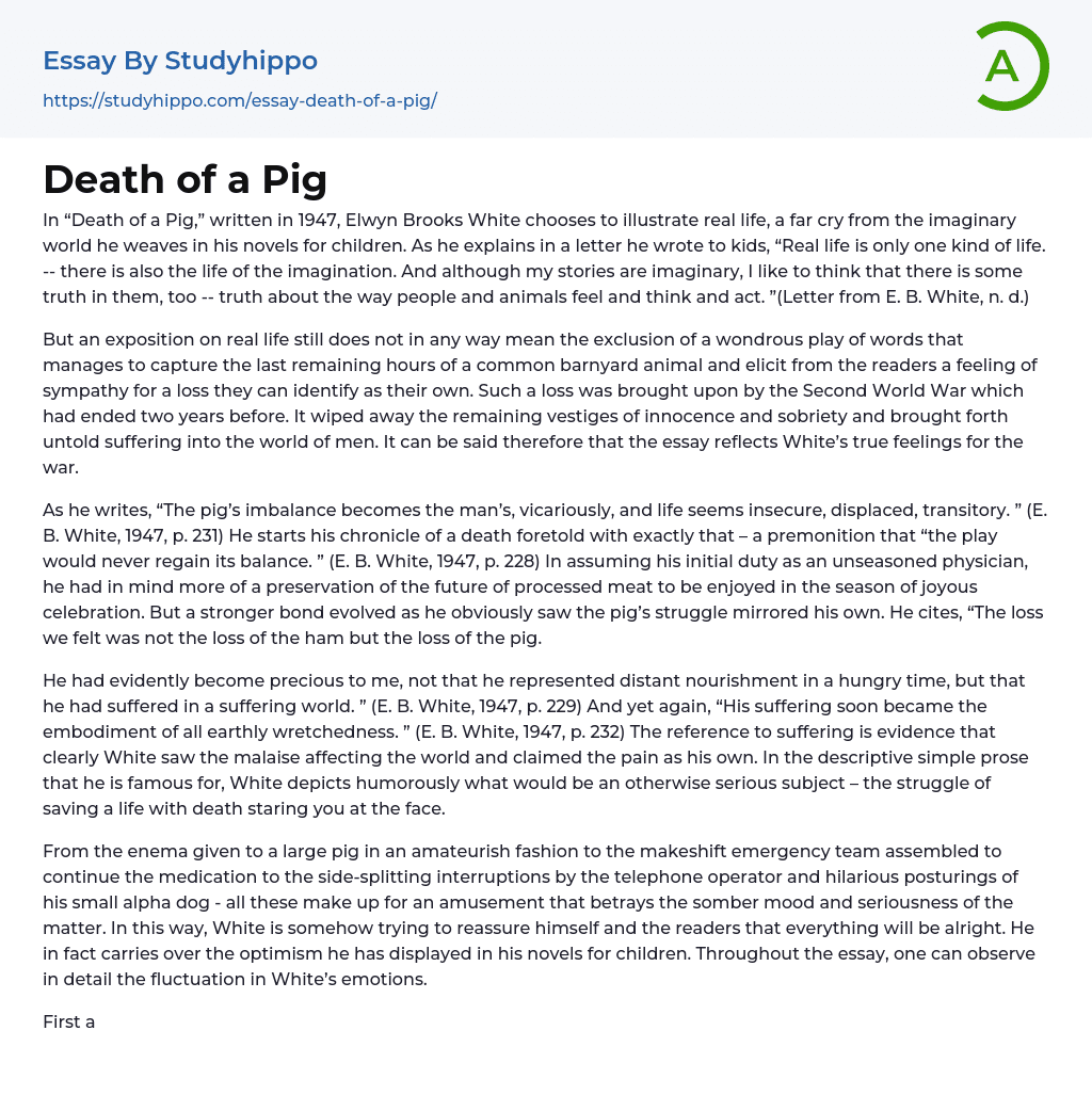 Death of a Pig Essay Example