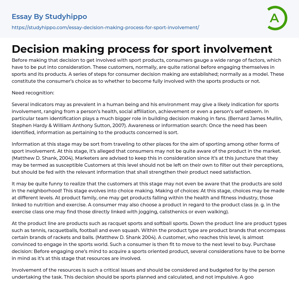 Decision making process for sport involvement Essay Example