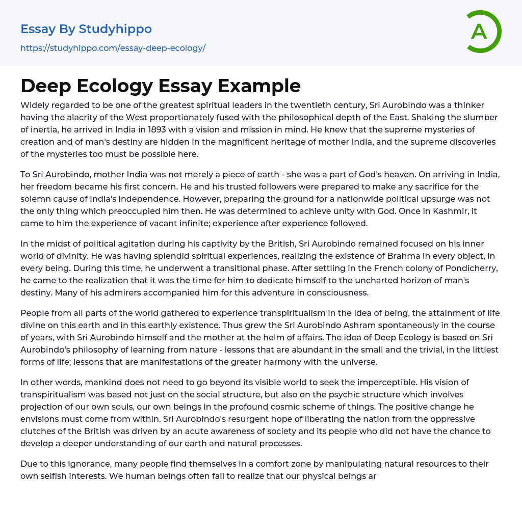 Deep Ecology Essay Example