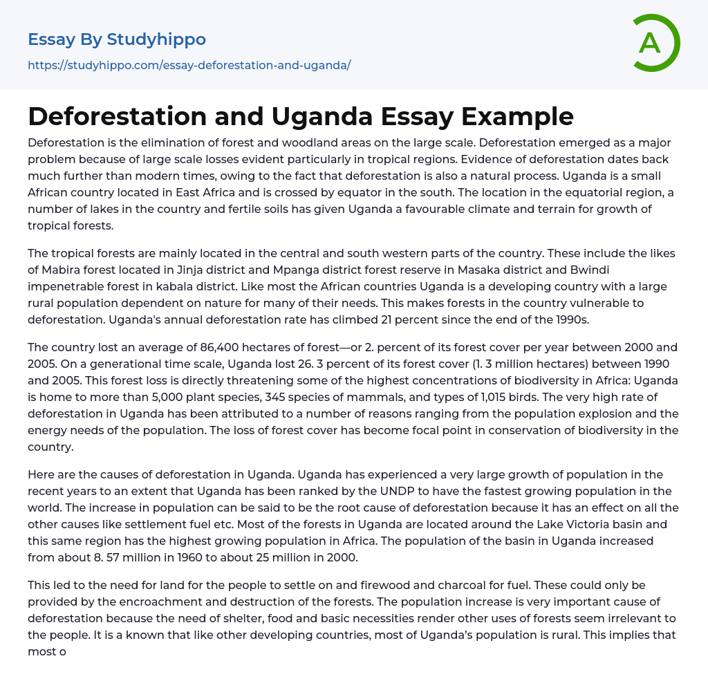 Deforestation and Uganda Essay Example