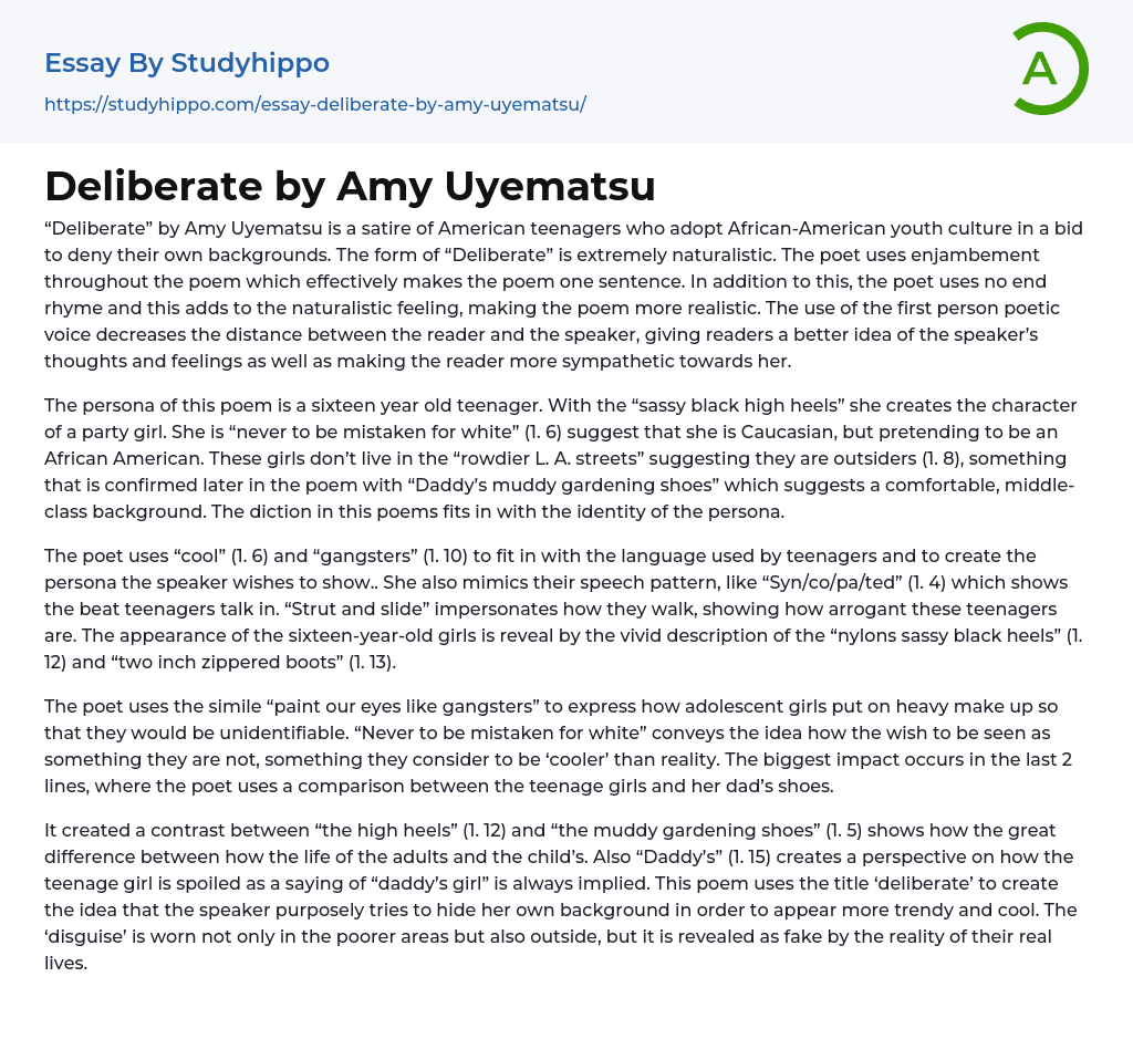 Deliberate by Amy Uyematsu Essay Example
