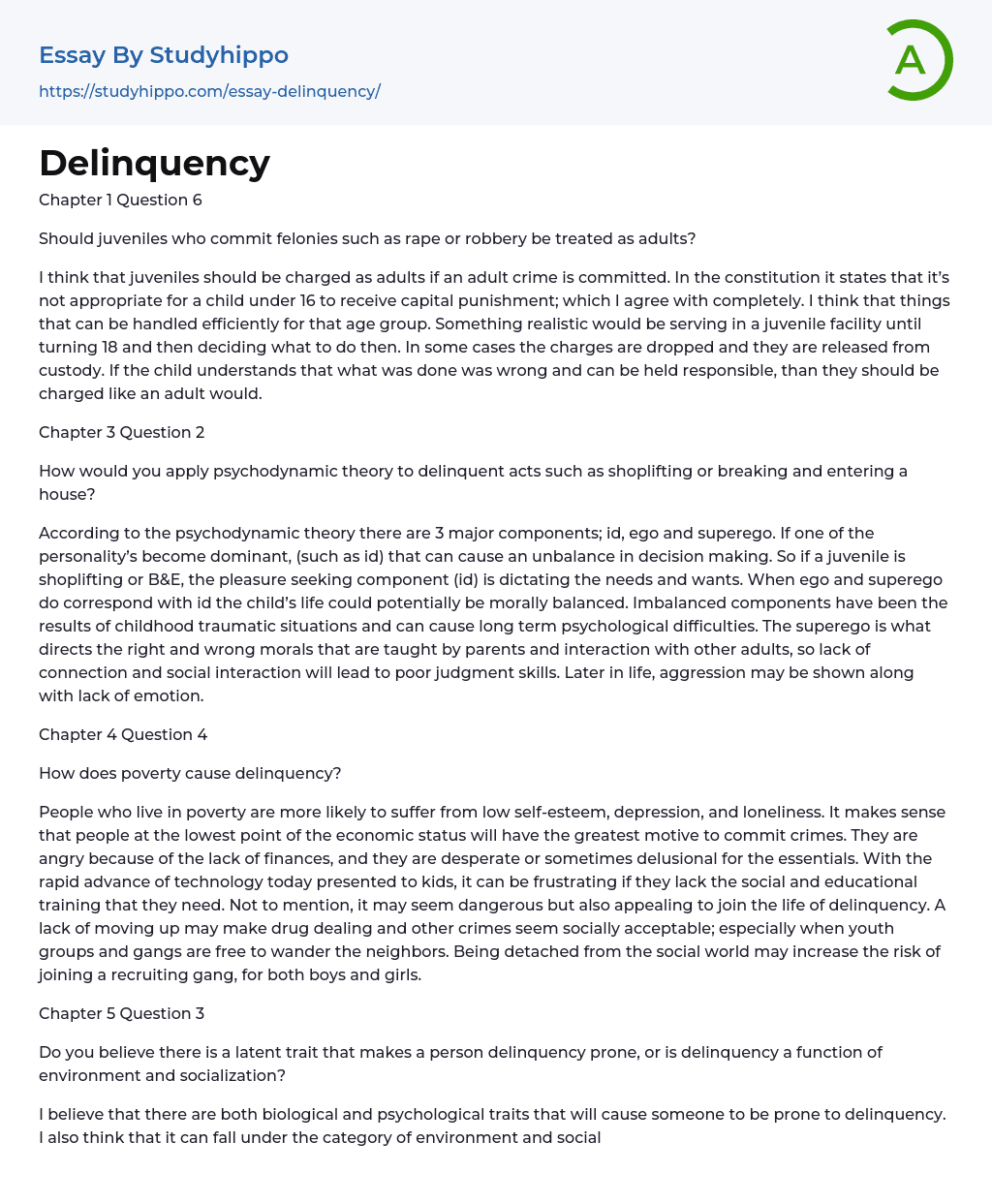 Delinquency Essay Example